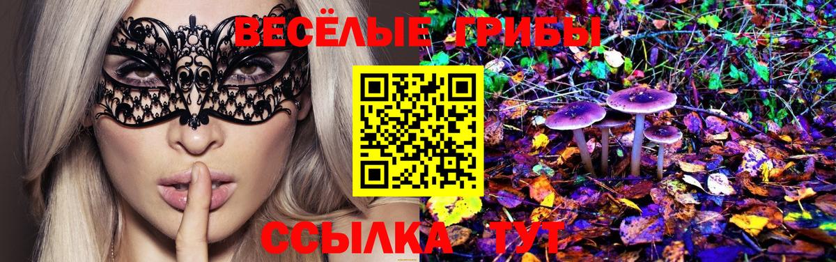 Альметьевск  Псилоцибиновые грибы Psilocybine cubensis  магазин продажи   Вход с VPN 